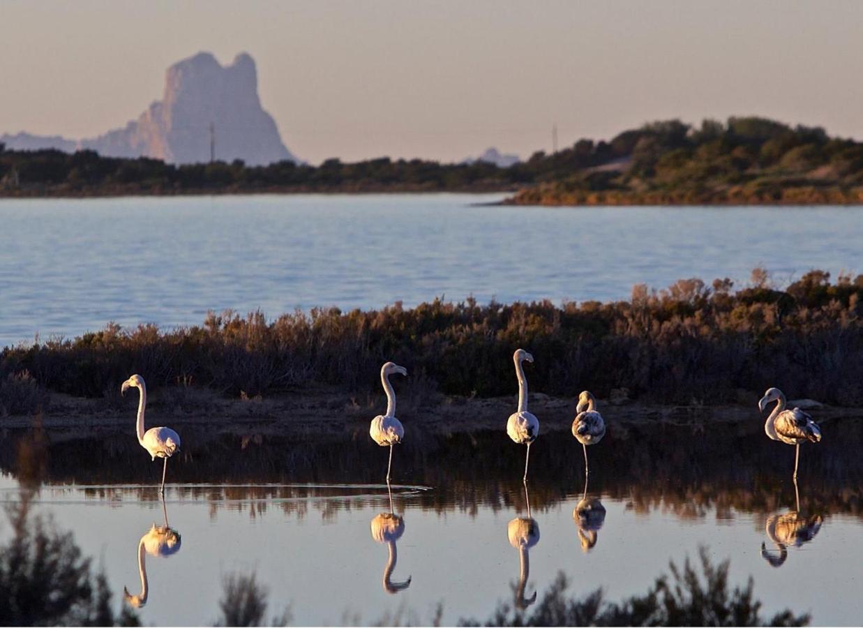 Hotel Lago Dorado - Formentera Break Ла-Савина Экстерьер фото